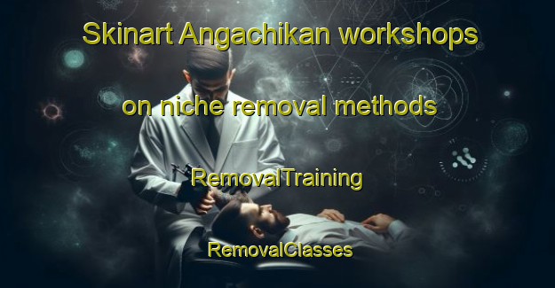 Skinart Angachikan workshops on niche removal methods | RemovalTraining | RemovalClasses | SkinartTraining-Russia