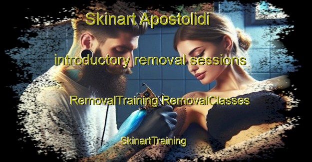 Skinart Apostolidi introductory removal sessions | #RemovalTraining #RemovalClasses #SkinartTraining-Russia