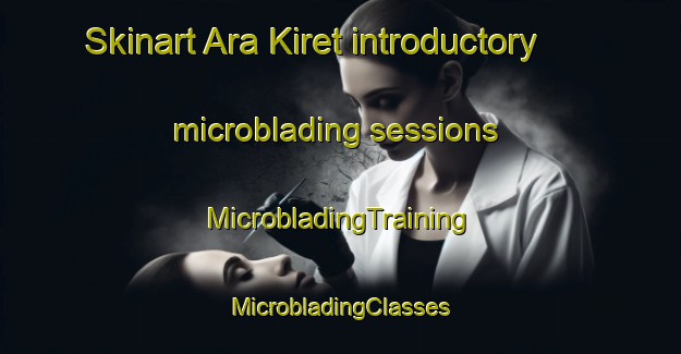 Skinart Ara Kiret introductory microblading sessions | #MicrobladingTraining #MicrobladingClasses #SkinartTraining-Russia