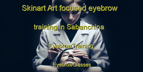 Skinart Art-focused eyebrow training in Sabanchina | EyebrowTraining | EyebrowClasses | SkinartTraining-Russia