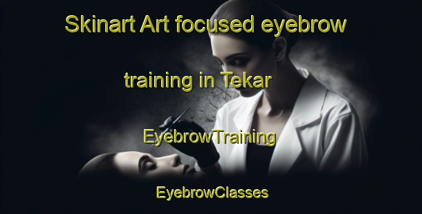 Skinart Art-focused eyebrow training in Tekar | EyebrowTraining | EyebrowClasses | SkinartTraining-Russia