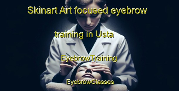 Skinart Art-focused eyebrow training in Usta | EyebrowTraining | EyebrowClasses | SkinartTraining-Russia