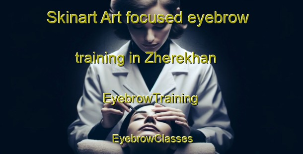 Skinart Art-focused eyebrow training in Zherekhan | EyebrowTraining | EyebrowClasses | SkinartTraining-Russia