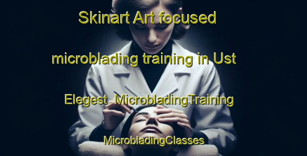 Skinart Art-focused microblading training in Ust  Elegest | #MicrobladingTraining #MicrobladingClasses #SkinartTraining-Russia