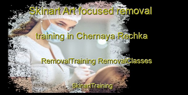 Skinart Art-focused removal training in Chernaya Rechka | #RemovalTraining #RemovalClasses #SkinartTraining-Russia