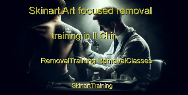 Skinart Art-focused removal training in Il Chir | #RemovalTraining #RemovalClasses #SkinartTraining-Russia