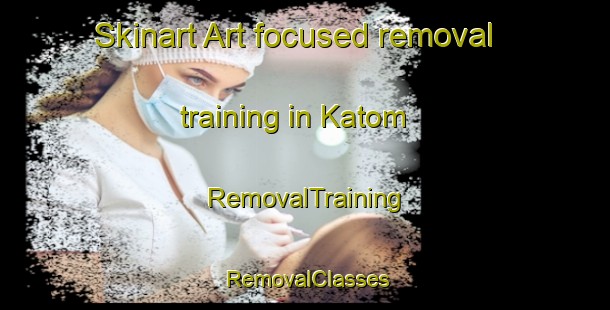 Skinart Art-focused removal training in Katom | RemovalTraining | RemovalClasses | SkinartTraining-Russia