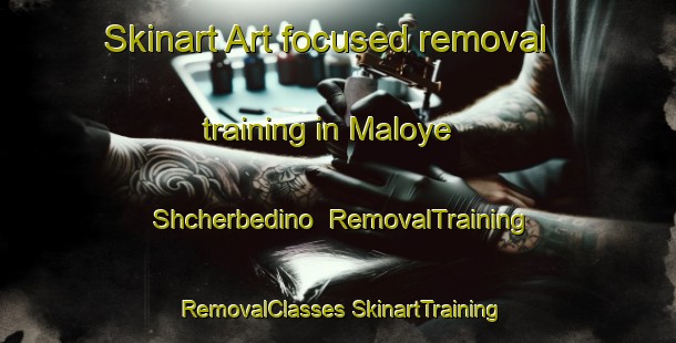 Skinart Art-focused removal training in Maloye Shcherbedino | #RemovalTraining #RemovalClasses #SkinartTraining-Russia