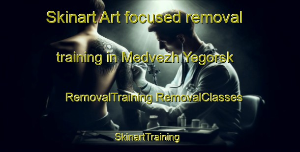 Skinart Art-focused removal training in Medvezh Yegorsk | #RemovalTraining #RemovalClasses #SkinartTraining-Russia