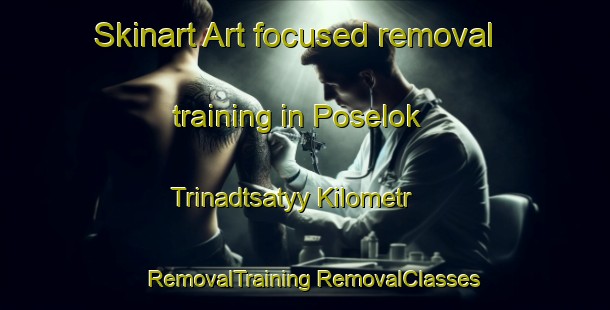 Skinart Art-focused removal training in Poselok Trinadtsatyy Kilometr | #RemovalTraining #RemovalClasses #SkinartTraining-Russia