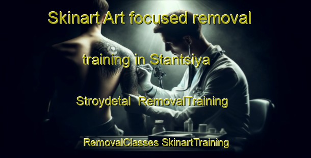 Skinart Art-focused removal training in Stantsiya Stroydetal | #RemovalTraining #RemovalClasses #SkinartTraining-Russia