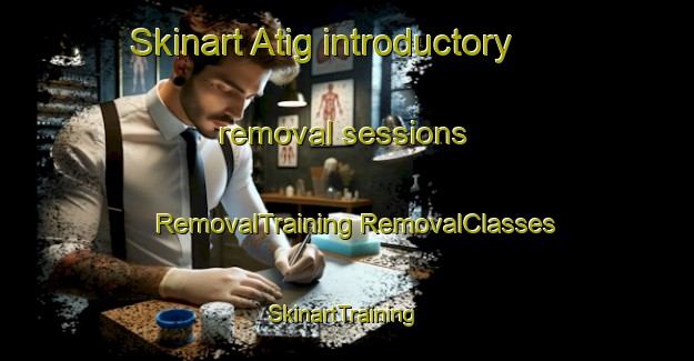 Skinart Atig introductory removal sessions | #RemovalTraining #RemovalClasses #SkinartTraining-Russia