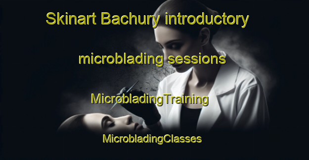 Skinart Bachury introductory microblading sessions | MicrobladingTraining | MicrobladingClasses | SkinartTraining-Russia