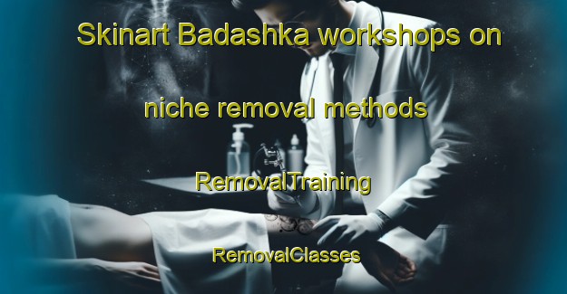 Skinart Badashka workshops on niche removal methods | RemovalTraining | RemovalClasses | SkinartTraining-Russia
