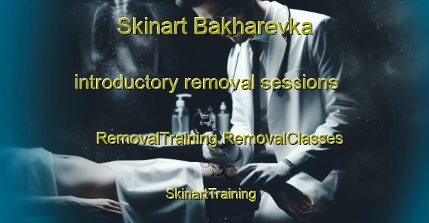 Skinart Bakharevka introductory removal sessions | #RemovalTraining #RemovalClasses #SkinartTraining-Russia