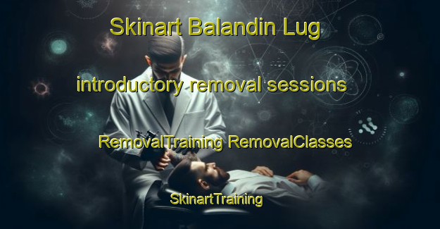 Skinart Balandin Lug introductory removal sessions | #RemovalTraining #RemovalClasses #SkinartTraining-Russia