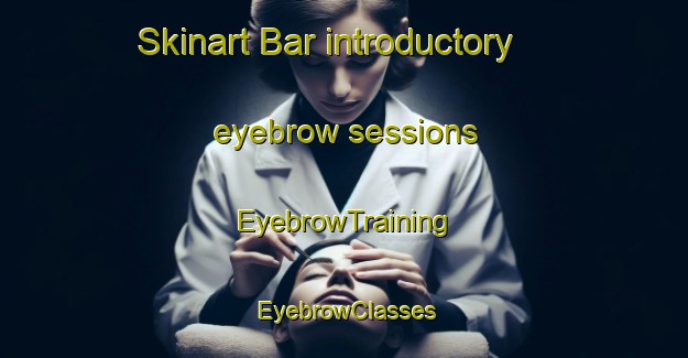Skinart Bar introductory eyebrow sessions | EyebrowTraining | EyebrowClasses | SkinartTraining-Russia