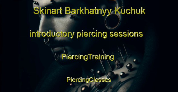 Skinart Barkhatnyy Kuchuk introductory piercing sessions | #PiercingTraining #PiercingClasses #SkinartTraining-Russia