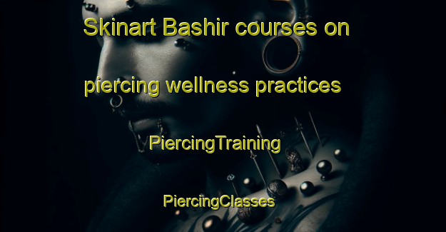 Skinart Bashir courses on piercing wellness practices | PiercingTraining | PiercingClasses | SkinartTraining-Russia