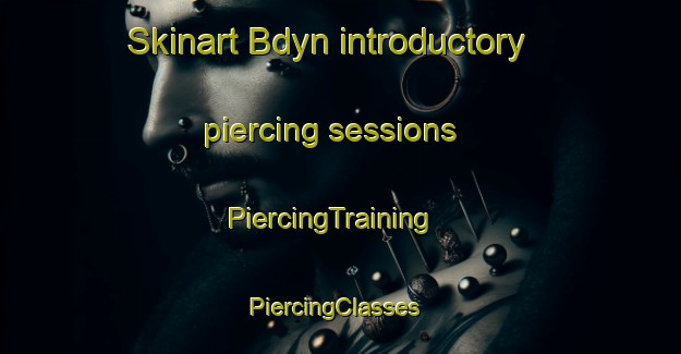 Skinart Bdyn introductory piercing sessions | PiercingTraining | PiercingClasses | SkinartTraining-Russia