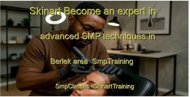 Skinart Become an expert in advanced SMP techniques in Berlek area | SmpTraining | SmpClasses | SkinartTraining-Russia