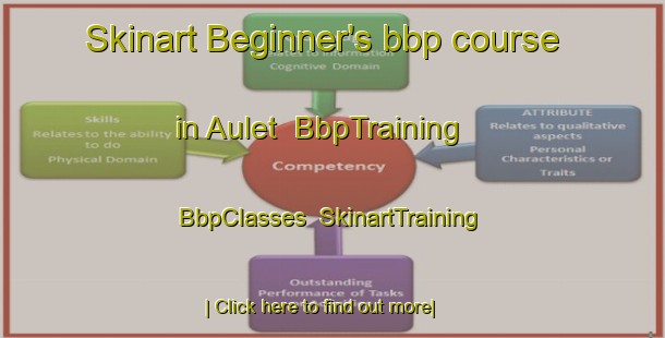 Skinart Beginner's bbp course in Aulet | BbpTraining | BbpClasses | SkinartTraining-Russia