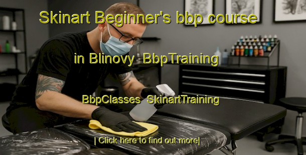 Skinart Beginner's bbp course in Blinovy | BbpTraining | BbpClasses | SkinartTraining-Russia