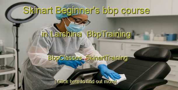 Skinart Beginner's bbp course in Larshina | BbpTraining | BbpClasses | SkinartTraining-Russia