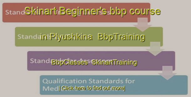 Skinart Beginner's bbp course in Plyushkina | BbpTraining | BbpClasses | SkinartTraining-Russia