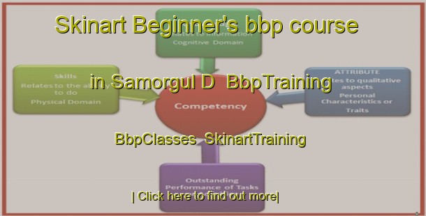 Skinart Beginner's bbp course in Samorgul D | BbpTraining | BbpClasses | SkinartTraining-Russia