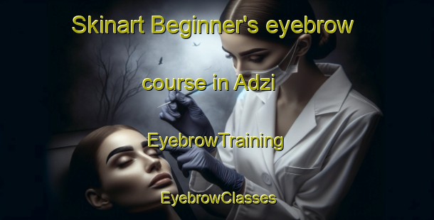 Skinart Beginner's eyebrow course in Adzi | EyebrowTraining | EyebrowClasses | SkinartTraining-Russia