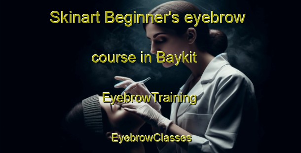 Skinart Beginner's eyebrow course in Baykit | EyebrowTraining | EyebrowClasses | SkinartTraining-Russia