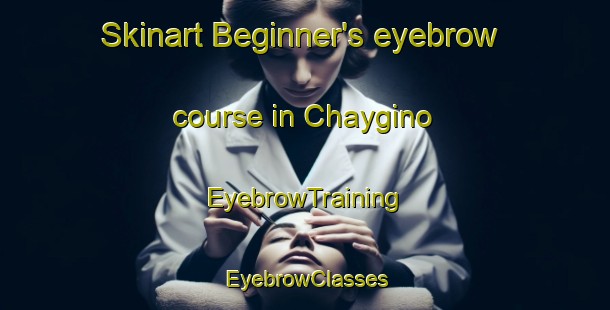 Skinart Beginner's eyebrow course in Chaygino | EyebrowTraining | EyebrowClasses | SkinartTraining-Russia