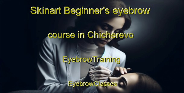 Skinart Beginner's eyebrow course in Chicherevo | EyebrowTraining | EyebrowClasses | SkinartTraining-Russia