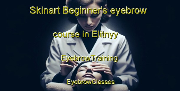 Skinart Beginner's eyebrow course in Elitnyy | EyebrowTraining | EyebrowClasses | SkinartTraining-Russia