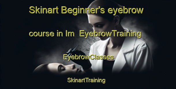 Skinart Beginner's eyebrow course in Im | EyebrowTraining | EyebrowClasses | SkinartTraining-Russia