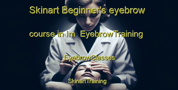 Skinart Beginner's eyebrow course in Im | EyebrowTraining | EyebrowClasses | SkinartTraining-Russia