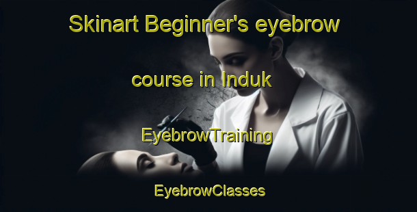Skinart Beginner's eyebrow course in Induk | EyebrowTraining | EyebrowClasses | SkinartTraining-Russia