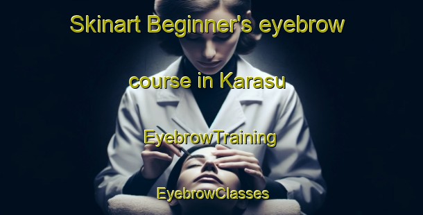 Skinart Beginner's eyebrow course in Karasu | EyebrowTraining | EyebrowClasses | SkinartTraining-Russia