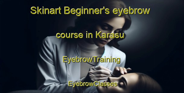 Skinart Beginner's eyebrow course in Karasu | EyebrowTraining | EyebrowClasses | SkinartTraining-Russia