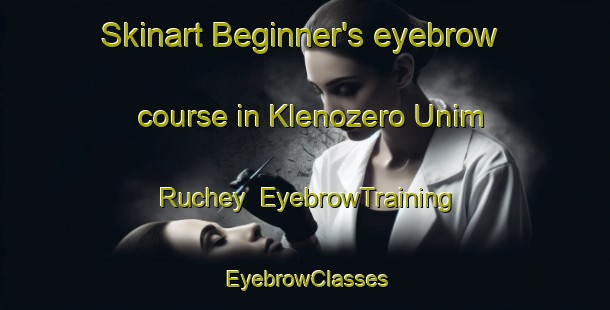 Skinart Beginner's eyebrow course in Klenozero Unim Ruchey | EyebrowTraining | EyebrowClasses | SkinartTraining-Russia