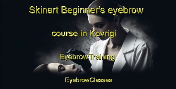 Skinart Beginner's eyebrow course in Kovrigi | EyebrowTraining | EyebrowClasses | SkinartTraining-Russia