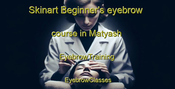 Skinart Beginner's eyebrow course in Matyash | EyebrowTraining | EyebrowClasses | SkinartTraining-Russia