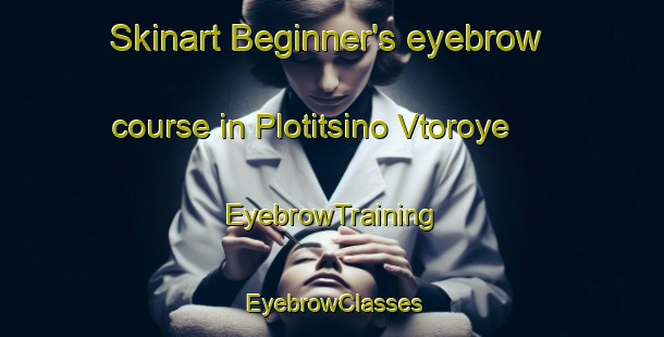 Skinart Beginner's eyebrow course in Plotitsino Vtoroye | EyebrowTraining | EyebrowClasses | SkinartTraining-Russia