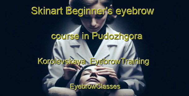 Skinart Beginner's eyebrow course in Pudozhgora Korolevskaya | EyebrowTraining | EyebrowClasses | SkinartTraining-Russia