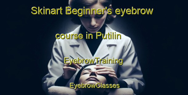 Skinart Beginner's eyebrow course in Putilin | EyebrowTraining | EyebrowClasses | SkinartTraining-Russia