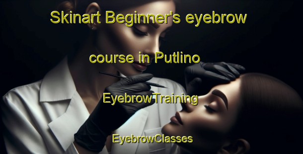 Skinart Beginner's eyebrow course in Putlino | EyebrowTraining | EyebrowClasses | SkinartTraining-Russia