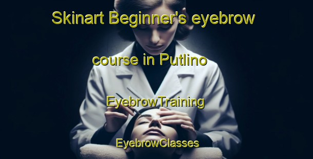 Skinart Beginner's eyebrow course in Putlino | EyebrowTraining | EyebrowClasses | SkinartTraining-Russia