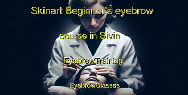 Skinart Beginner's eyebrow course in Sivin | EyebrowTraining | EyebrowClasses | SkinartTraining-Russia