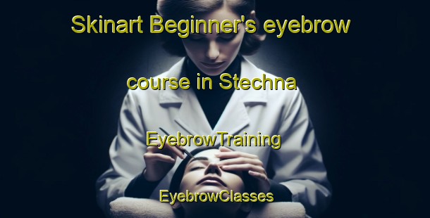 Skinart Beginner's eyebrow course in Stechna | EyebrowTraining | EyebrowClasses | SkinartTraining-Russia